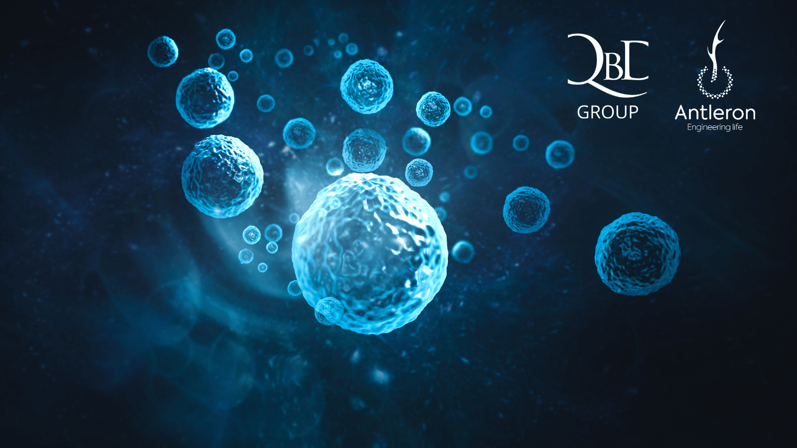 Antleron & QbD team up to create a landslide in healthcare