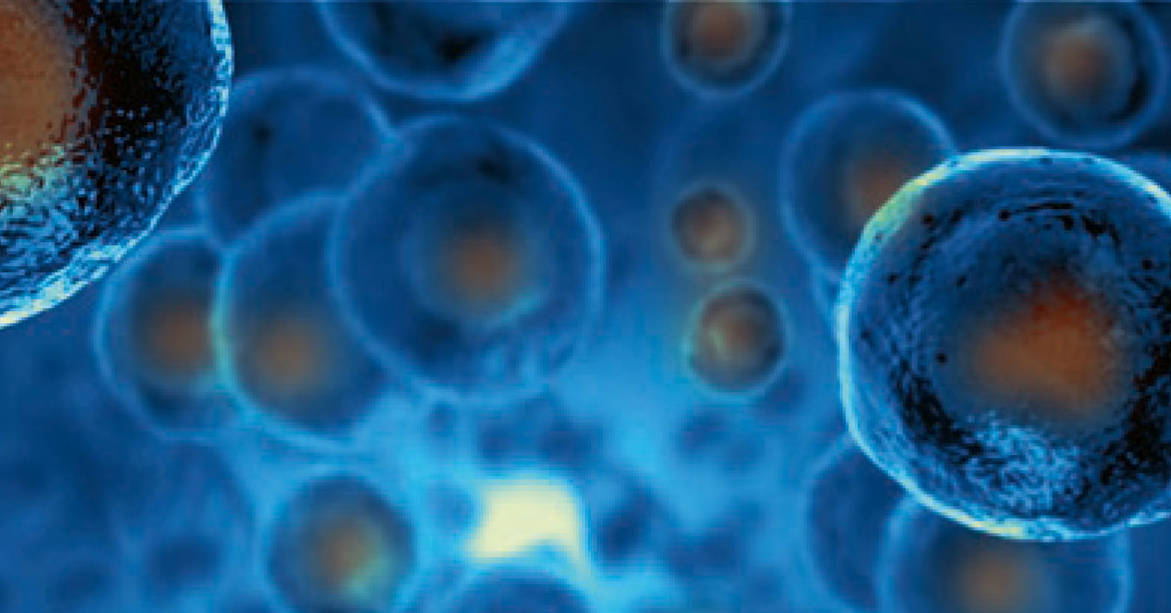 ATMPs in a nutshell: what you should know about classification, quality and go to market