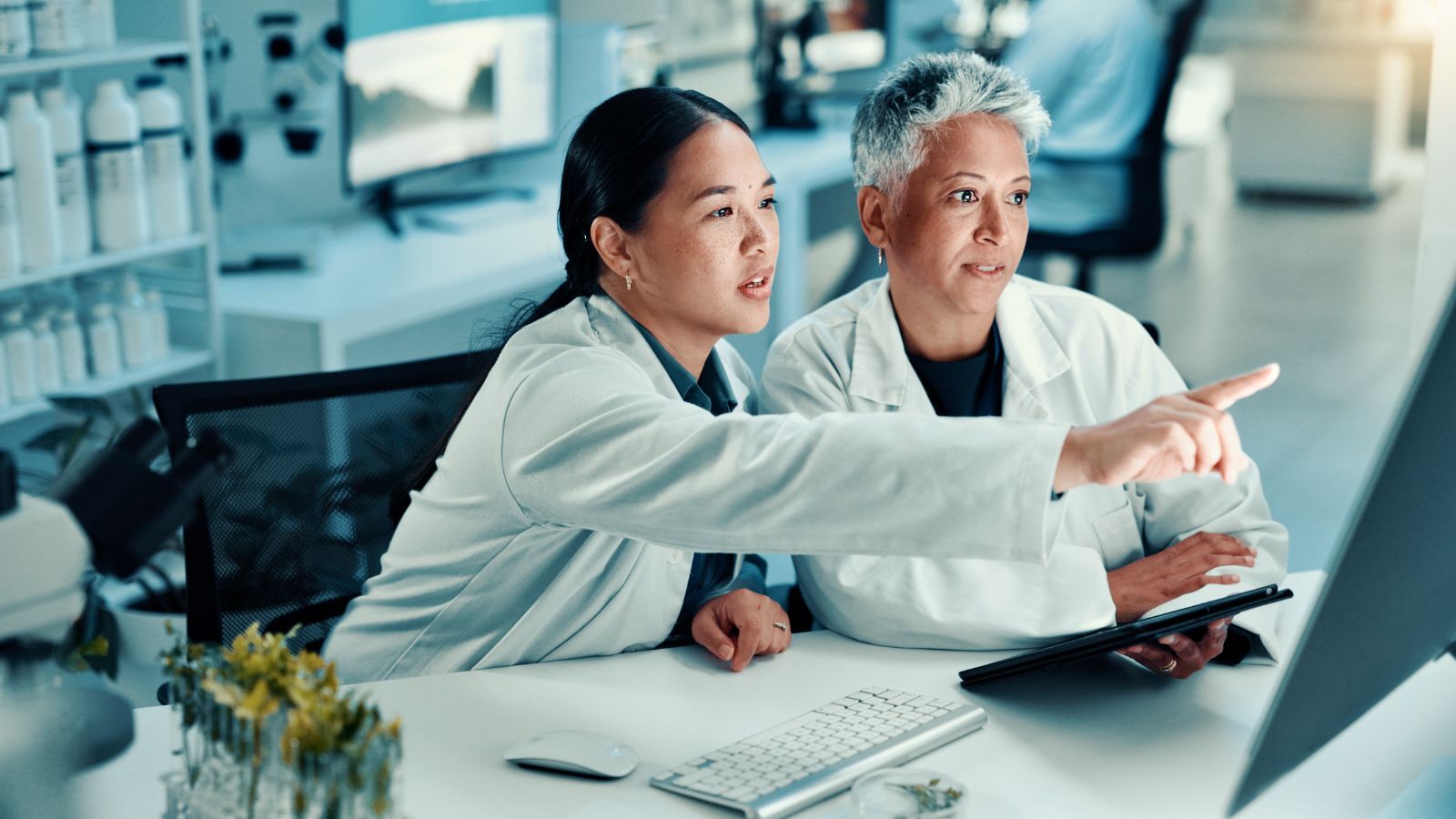 How to Prepare a Submission-Ready Environmental Risk Assessment (ERA)