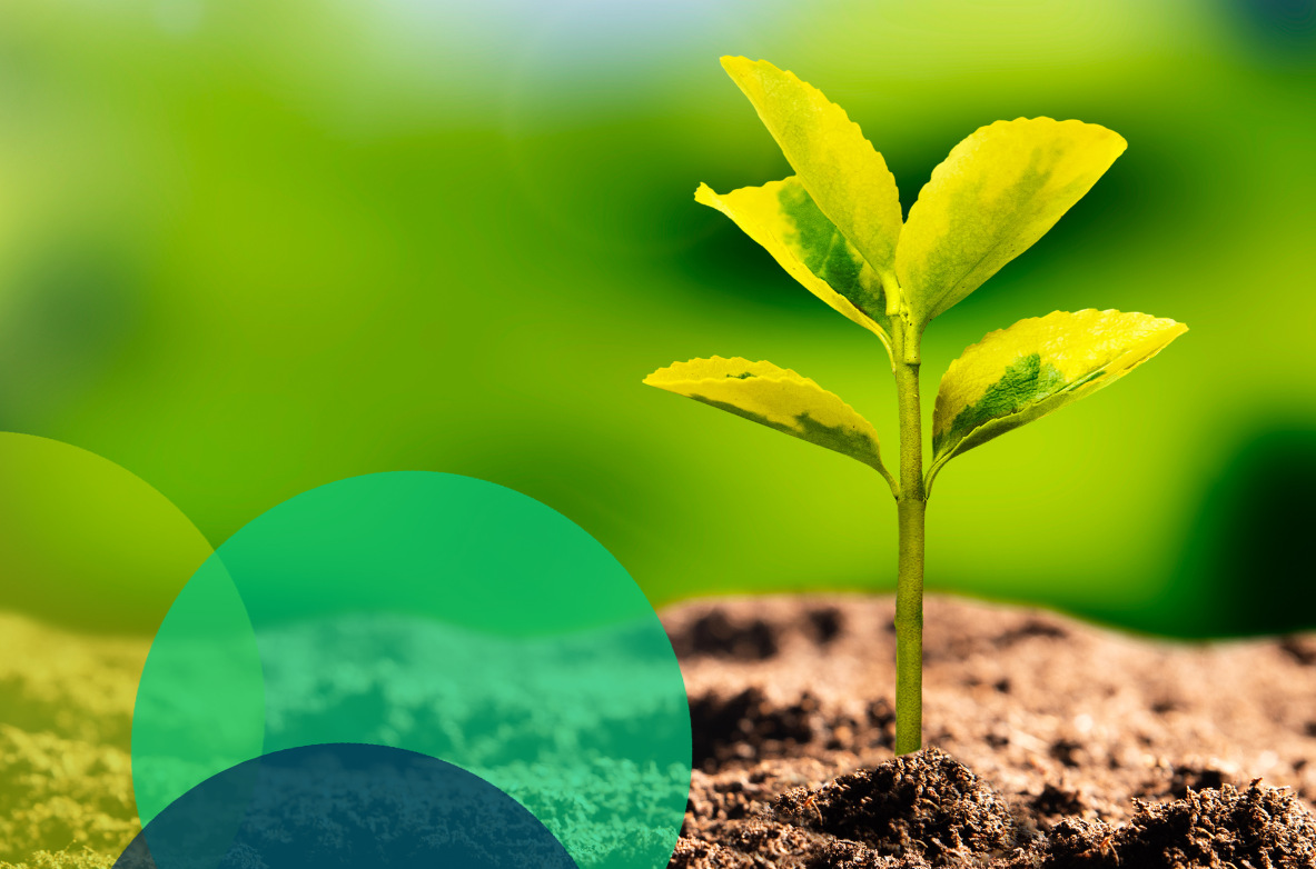 Toxicology - CTA ERAs