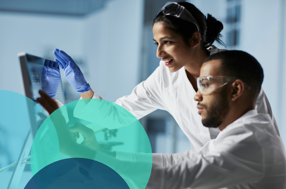 Software Solutions & Services