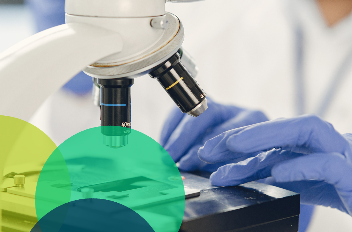 Toxicology - Nitrosamine