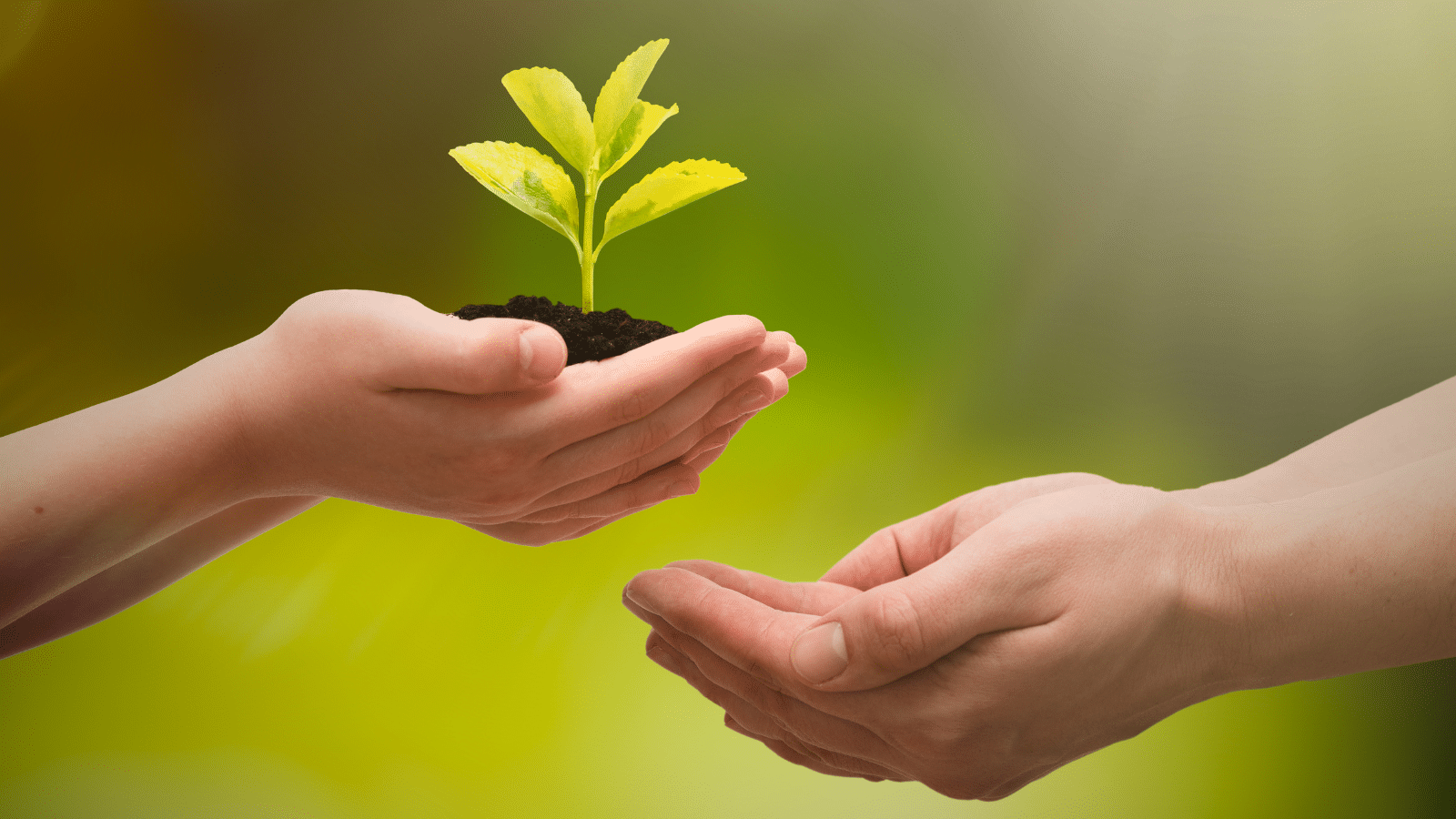 Environmental Risk Assessments (ERA) in Pharma: Balancing Health & Environment