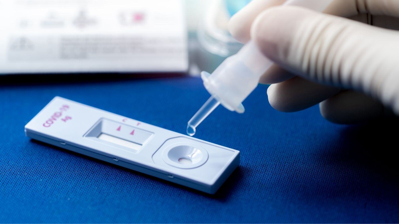 Del IVDD al IVDR: evita estos escollos