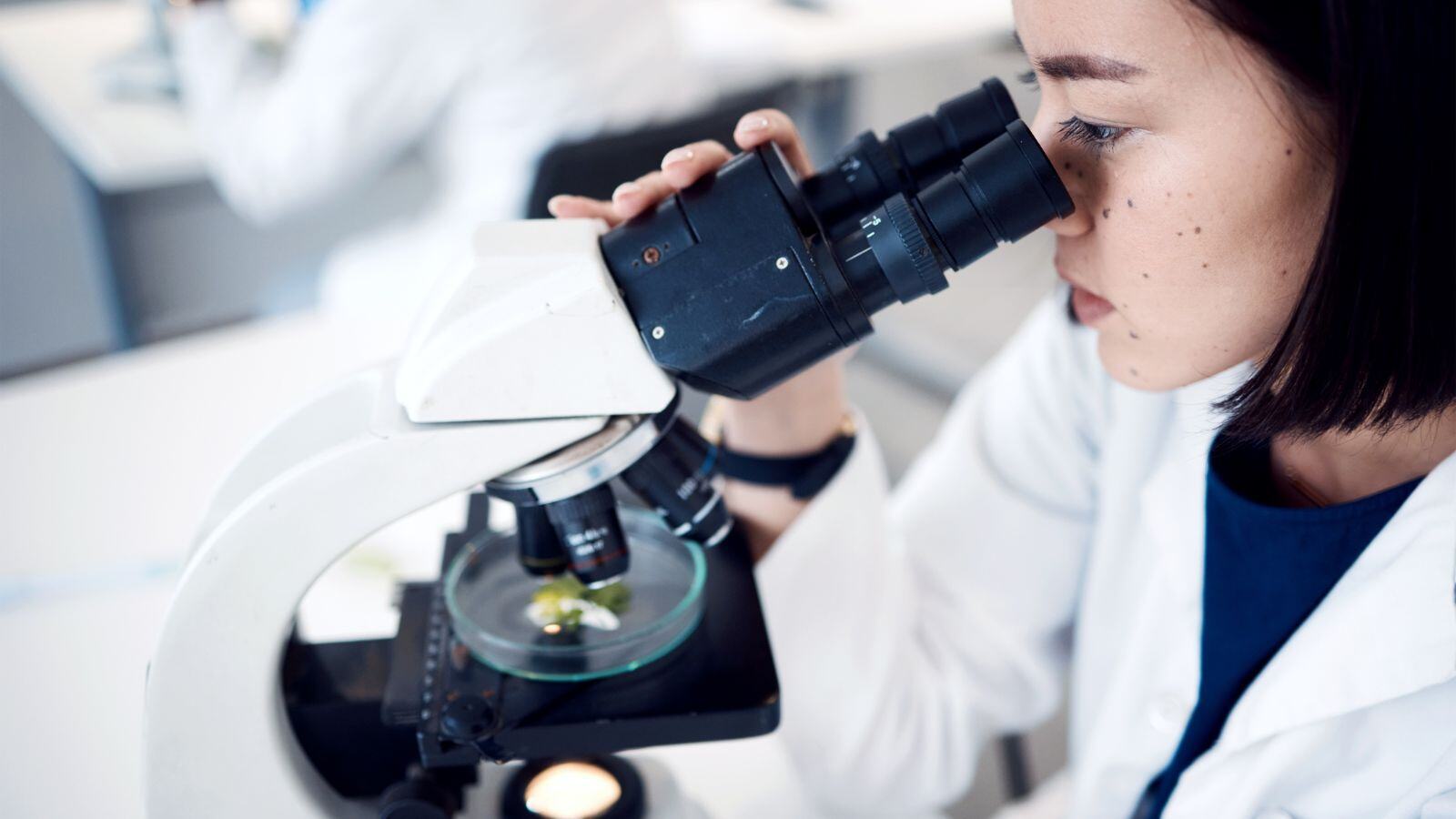 Servicios microbiológicos