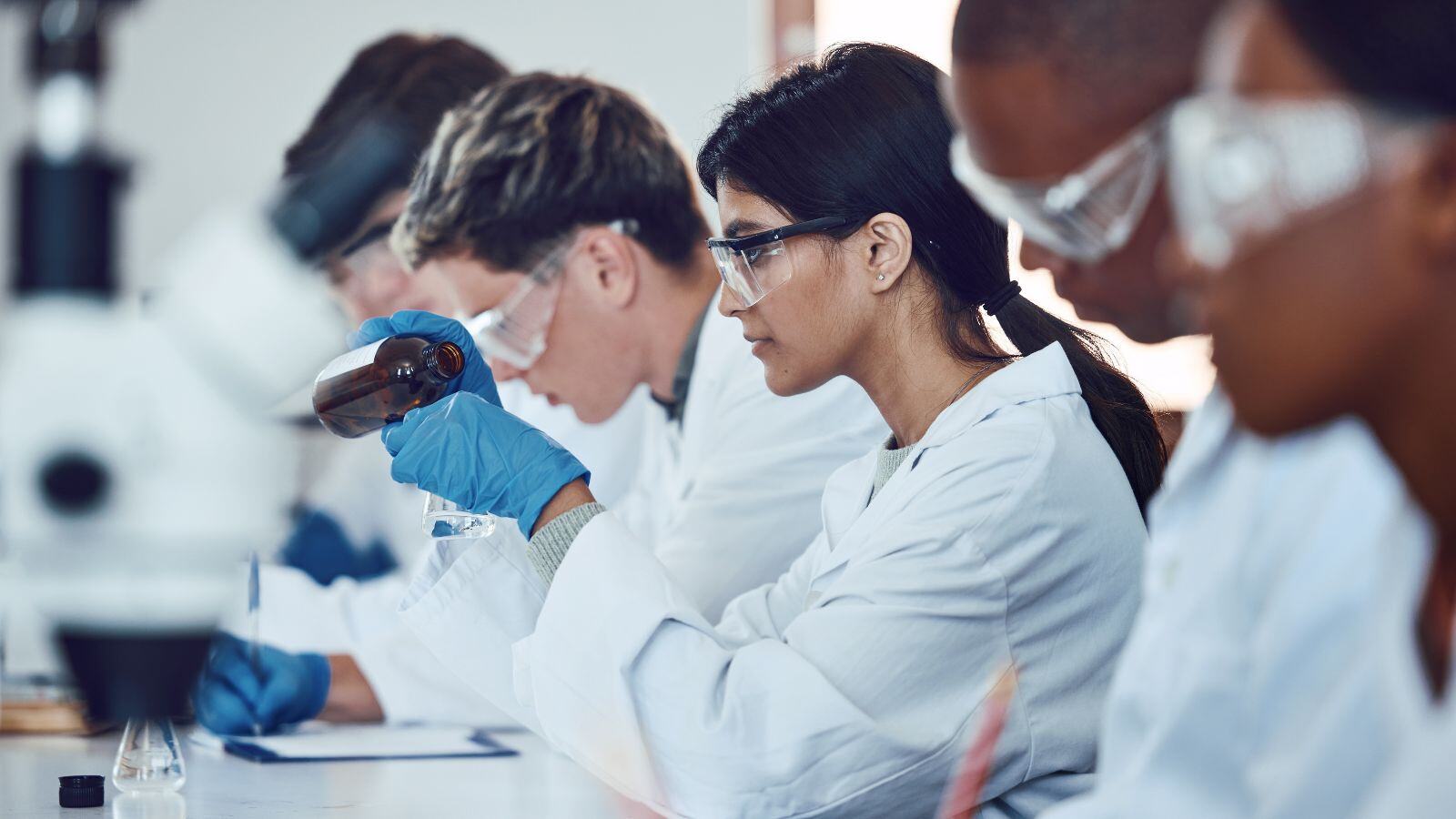 Estudios de estabilidad