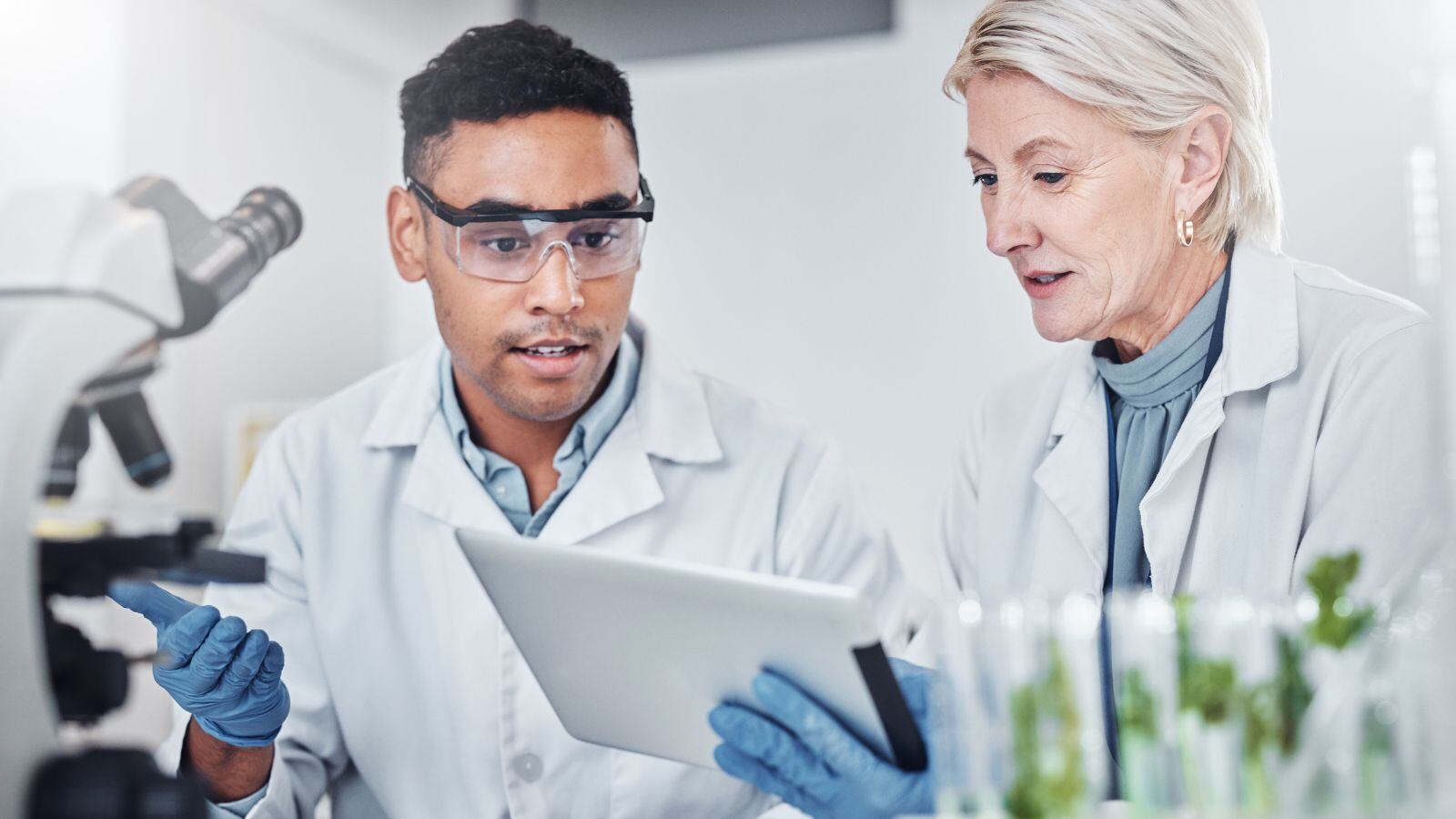 Informes de seguridad