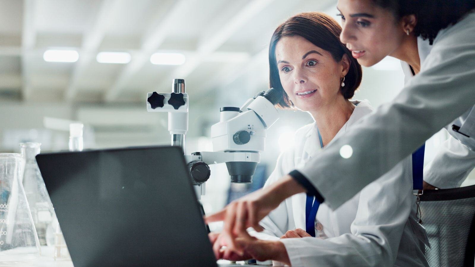 Quality Assurance services