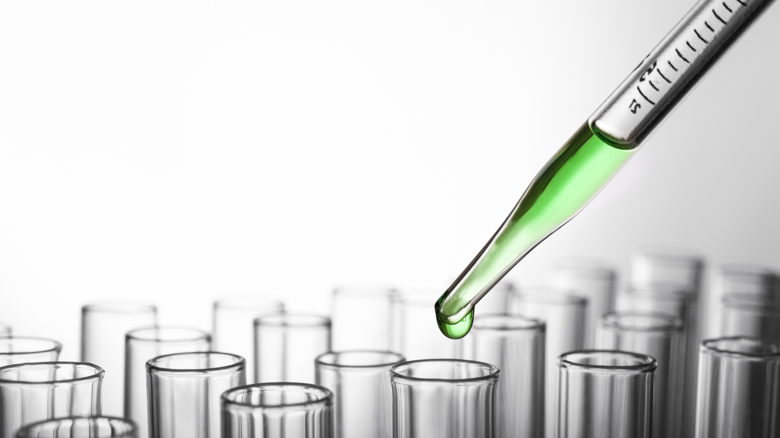 Informes sobre impurezas elementales