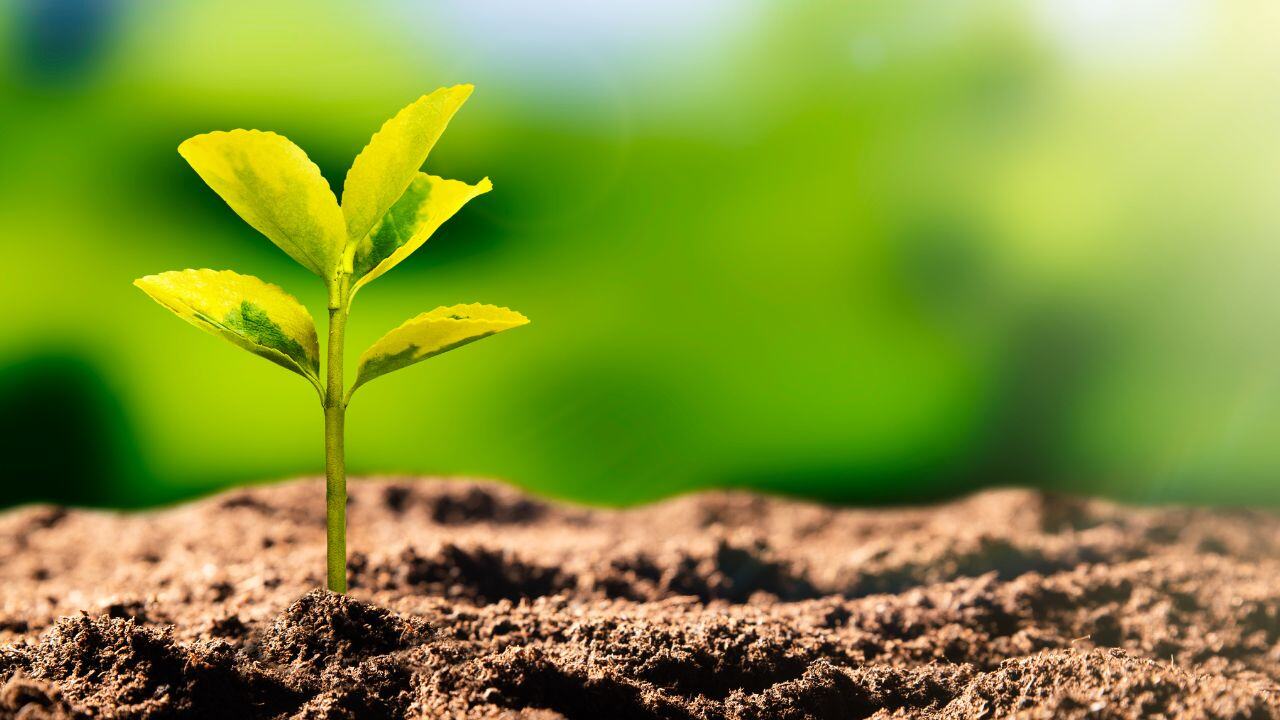 Evaluación del riesgo medioambiental (ERA)