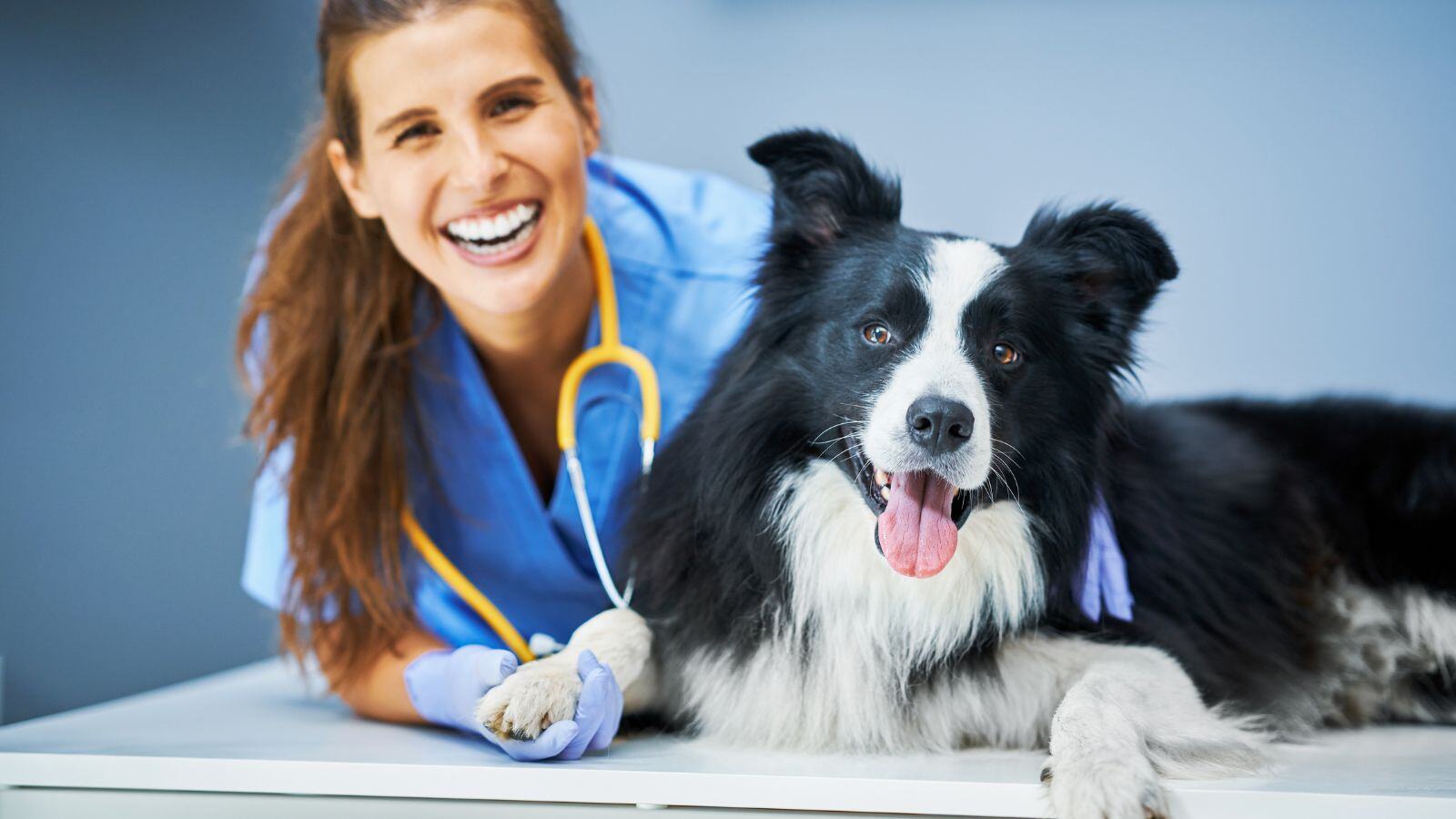 How Veterinary Pharmacovigilance Supports Global Health Through Audits