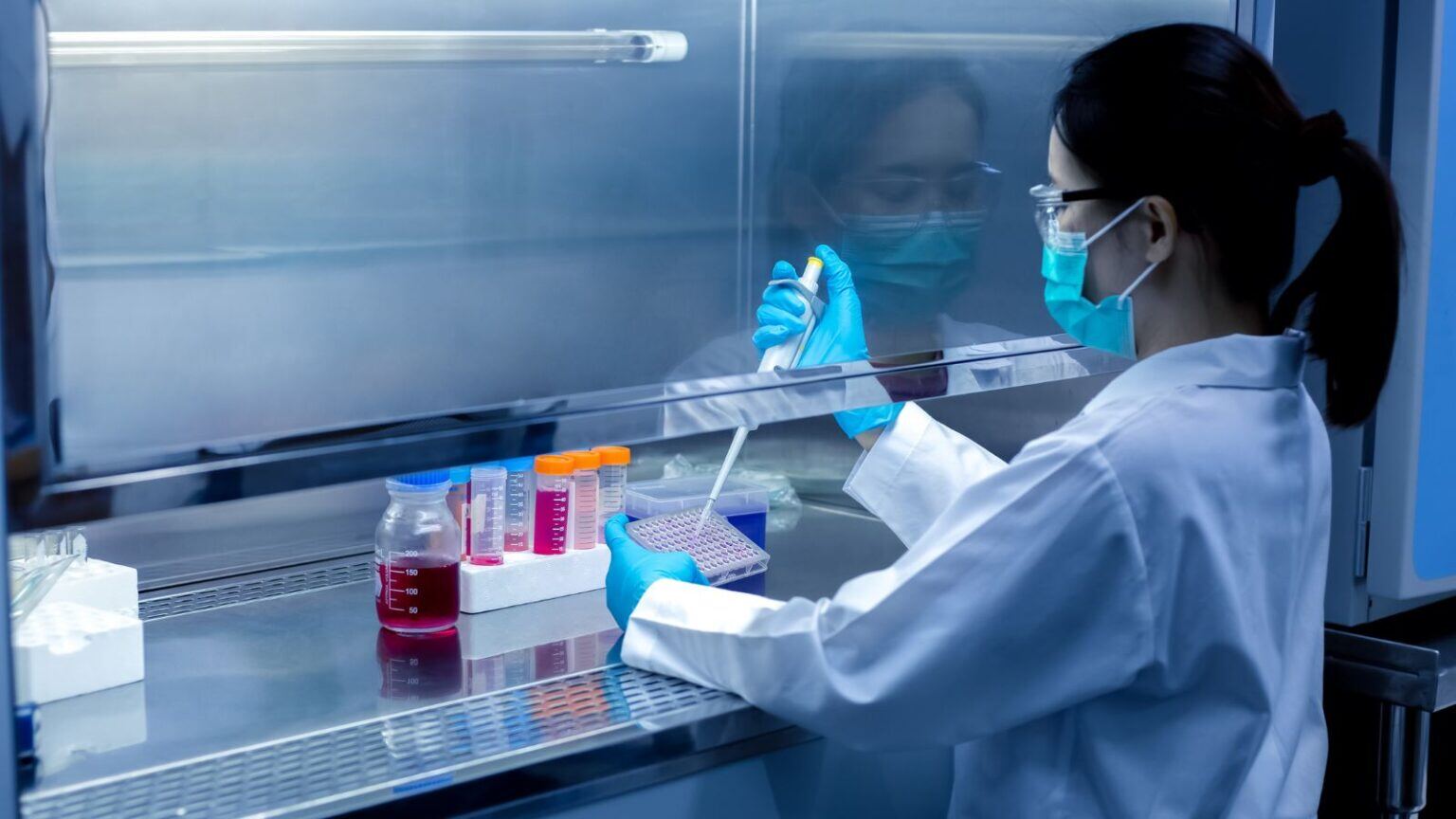 MDCG 2022-13 Rev.1 – Designation, Re-assessment, and Notification Process for Conformity Assessment and Notified Bodies