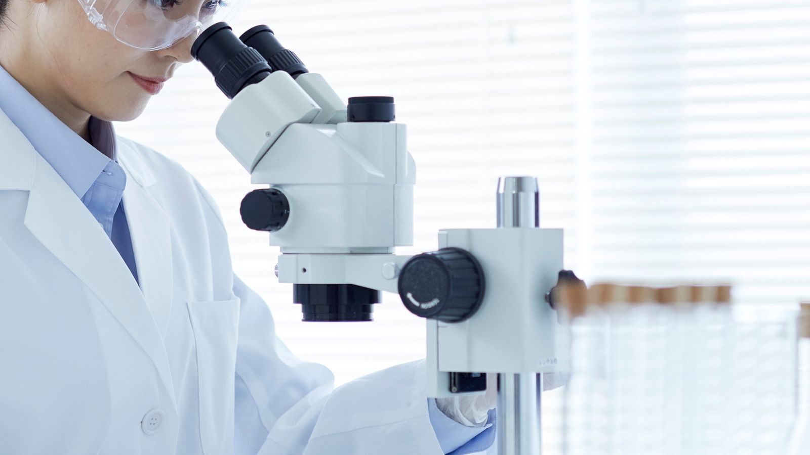 Nueva actualización del Anexo 1 de la Directriz sobre nitrosaminas - EMA/42261/2025/Rev. 11