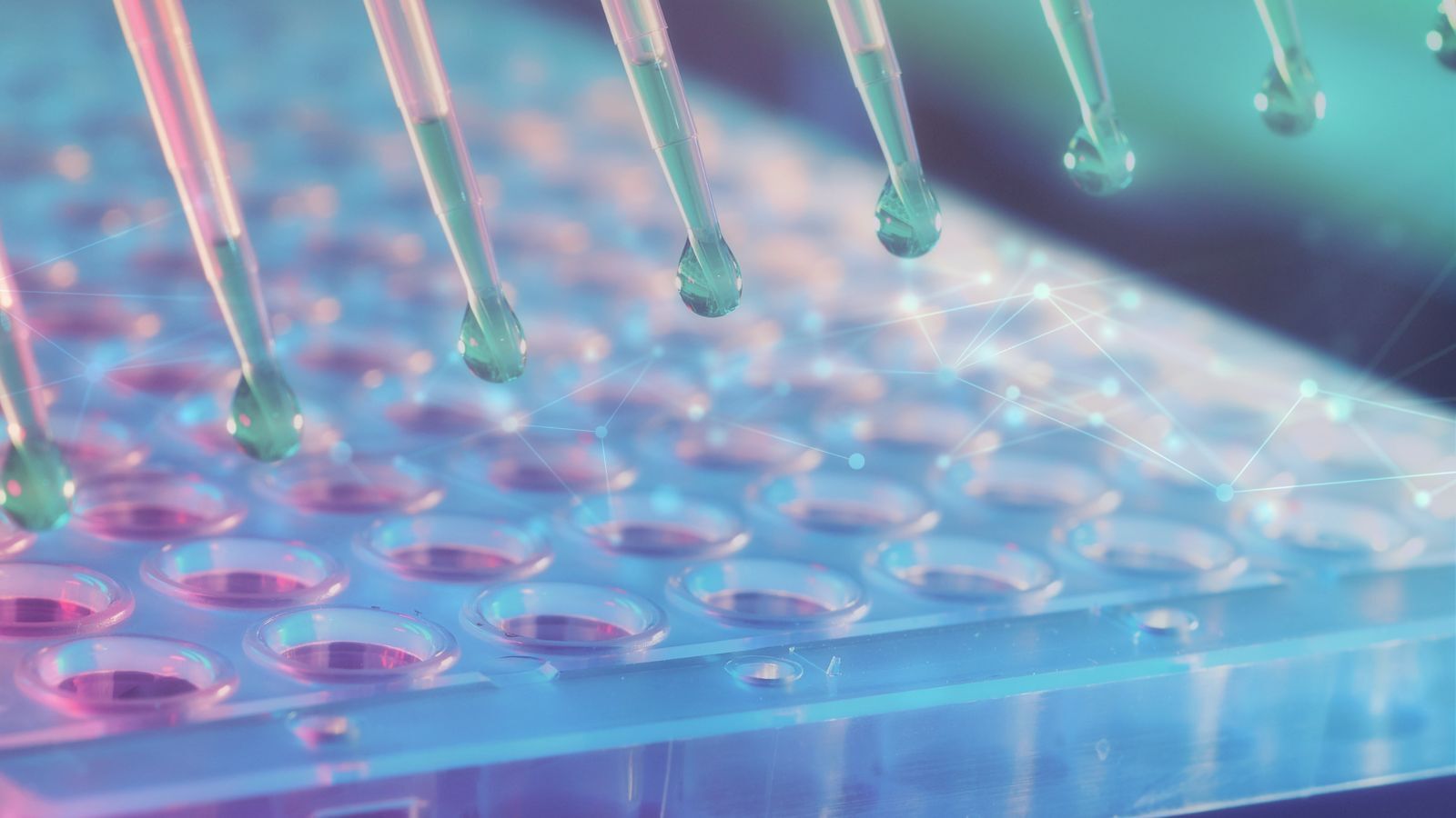 Digitalization in the Pharmaceutical Industry: And How to Stay Compliant